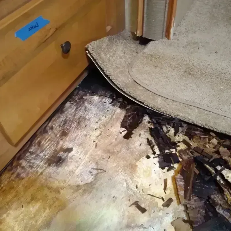 Wood Floor Water Damage in Forest Hills, MI